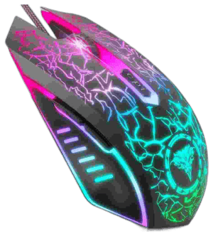 mouse